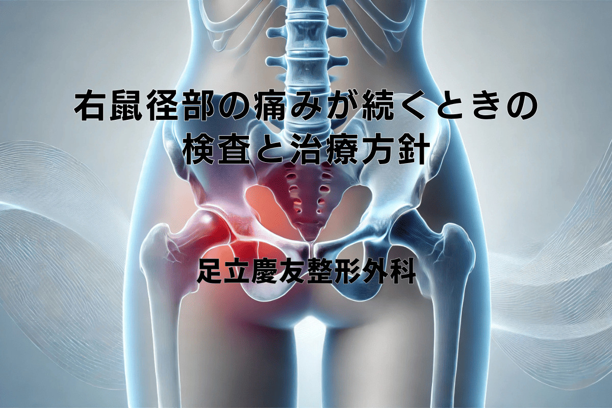 腰仙椎部神経症状: カラーでみる解剖学的背景 腰仙椎