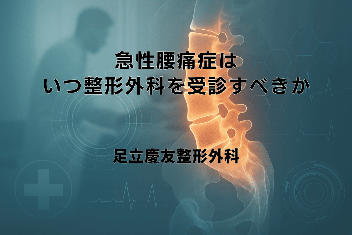 腰痛の診断と治療 (LOW BACK PAIN) 腰痛症：日経メディカル