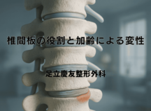 椎間板の役割と加齢による変性｜ヘルニアとの関連性