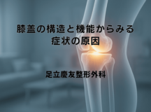 膝蓋の構造と機能からみる症状の原因