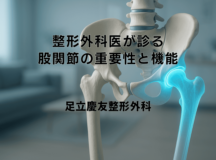 整形外科医が診る股関節の重要性と機能