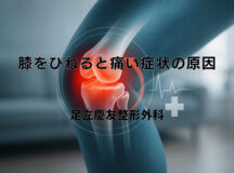 膝をひねると痛い症状の原因 – 応急処置と治療法