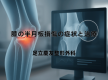 膝の半月板損傷の症状と治療 – 専門医による解説