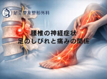 腰椎の神経症状｜足のしびれと痛みの関係