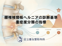 腰椎椎間板ヘルニアの診断基準 – 重症度分類の指標