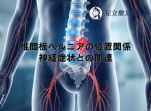 椎間板ヘルニアの位置関係｜神経症状との関連