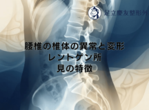 腰椎の椎体の異常と変形 – レントゲン所見の特徴