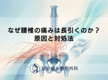 なぜ腰椎の痛みは長引くのか？原因と対処法