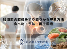 股関節の軟骨をすり減りから守る方法｜食べ物・予防・再生医療