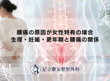 腰痛の原因が女性特有の場合｜生理・妊娠・更年期と腰痛の関係