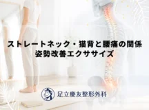 ストレートネック・猫背と腰痛の関係｜姿勢改善エクササイズ